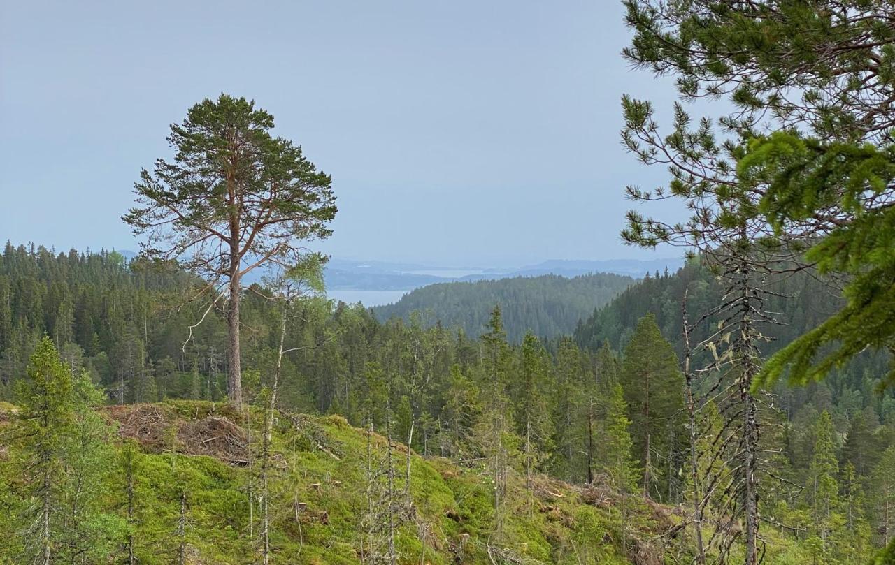 Fjellstad Gard - 2 Minutes From E6 And 5 Minutes Drive From Steinkjer City Villa ภายนอก รูปภาพ