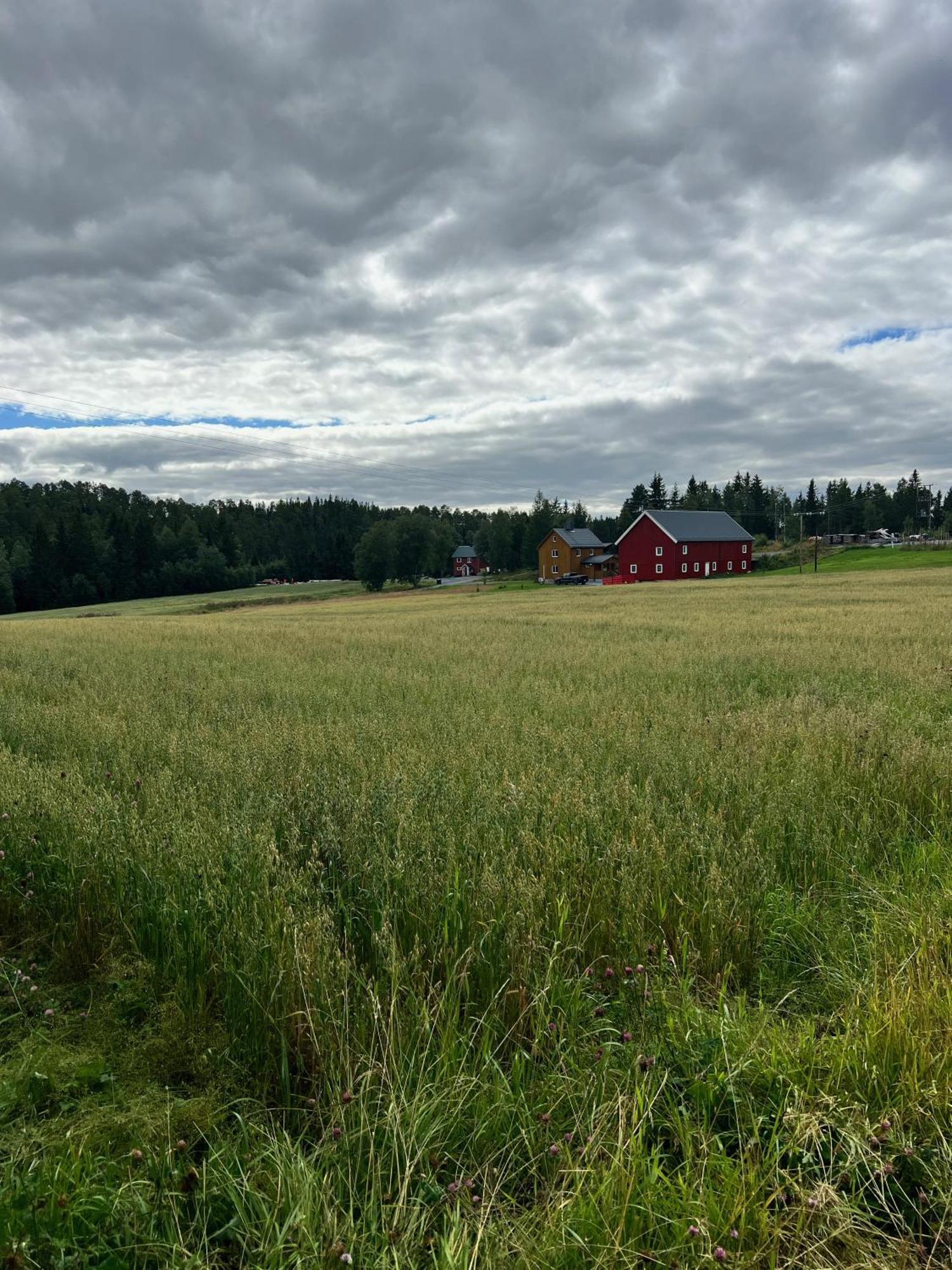 Fjellstad Gard - 2 Minutes From E6 And 5 Minutes Drive From Steinkjer City Villa ภายนอก รูปภาพ