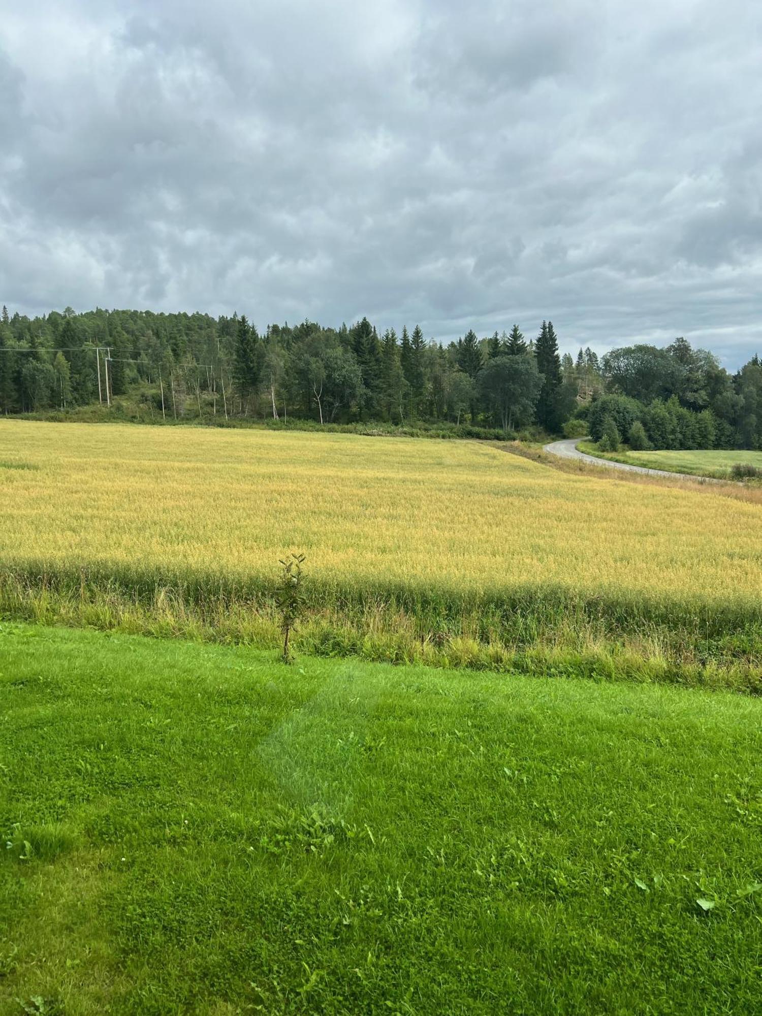 Fjellstad Gard - 2 Minutes From E6 And 5 Minutes Drive From Steinkjer City Villa ภายนอก รูปภาพ